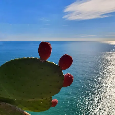 La Terrazza Sul Blu Lejlighed Corniglia