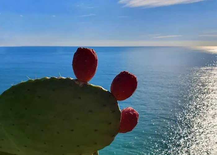 La Terrazza Sul Blu Appartement Corniglia
